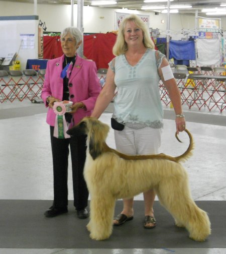 Best Adult 2011.jpg - 46.09 K